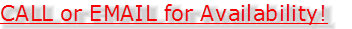 island_cart_rentals_and_sales_4_29_25_6pm001011.jpg
