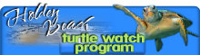 island_cart_rentals_and_sales_web_page007008.jpg